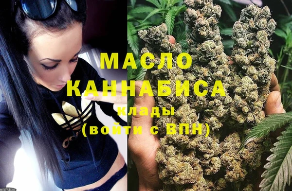 молекула духа Михайловск