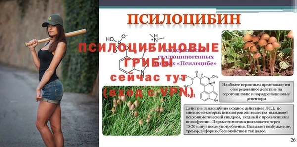 тгк Навашино