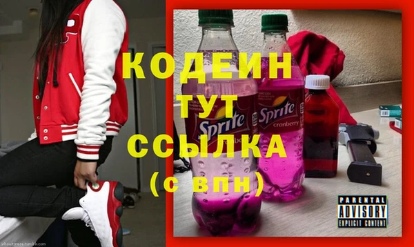 молекула духа Михайловск