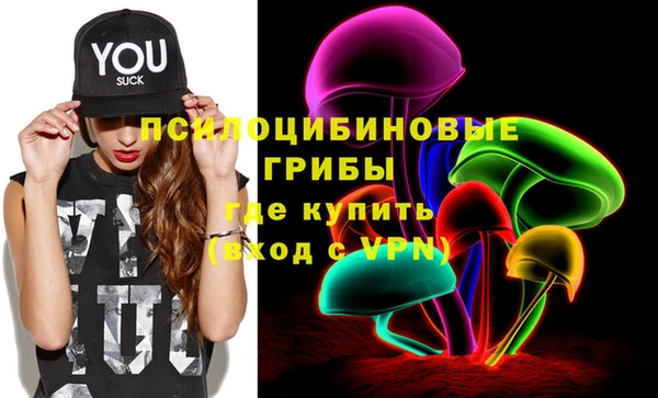 молекула духа Михайловск