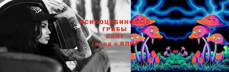 Псилоцибиновые грибы MAGIC MUSHROOMS  где купить наркотик  ОМГ ОМГ   Тырныауз 