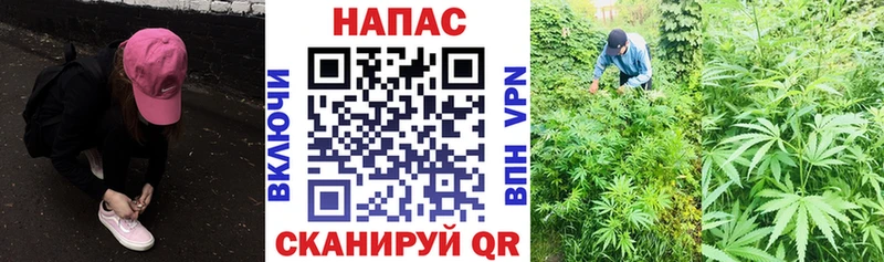 Бошки Шишки Ganja  Тырныауз 